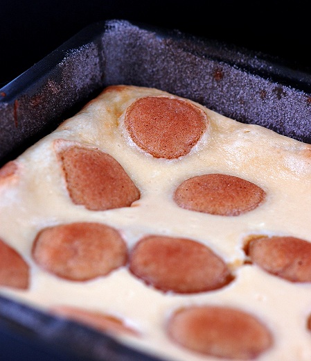 snickerdoodle cheesecake bar 2
